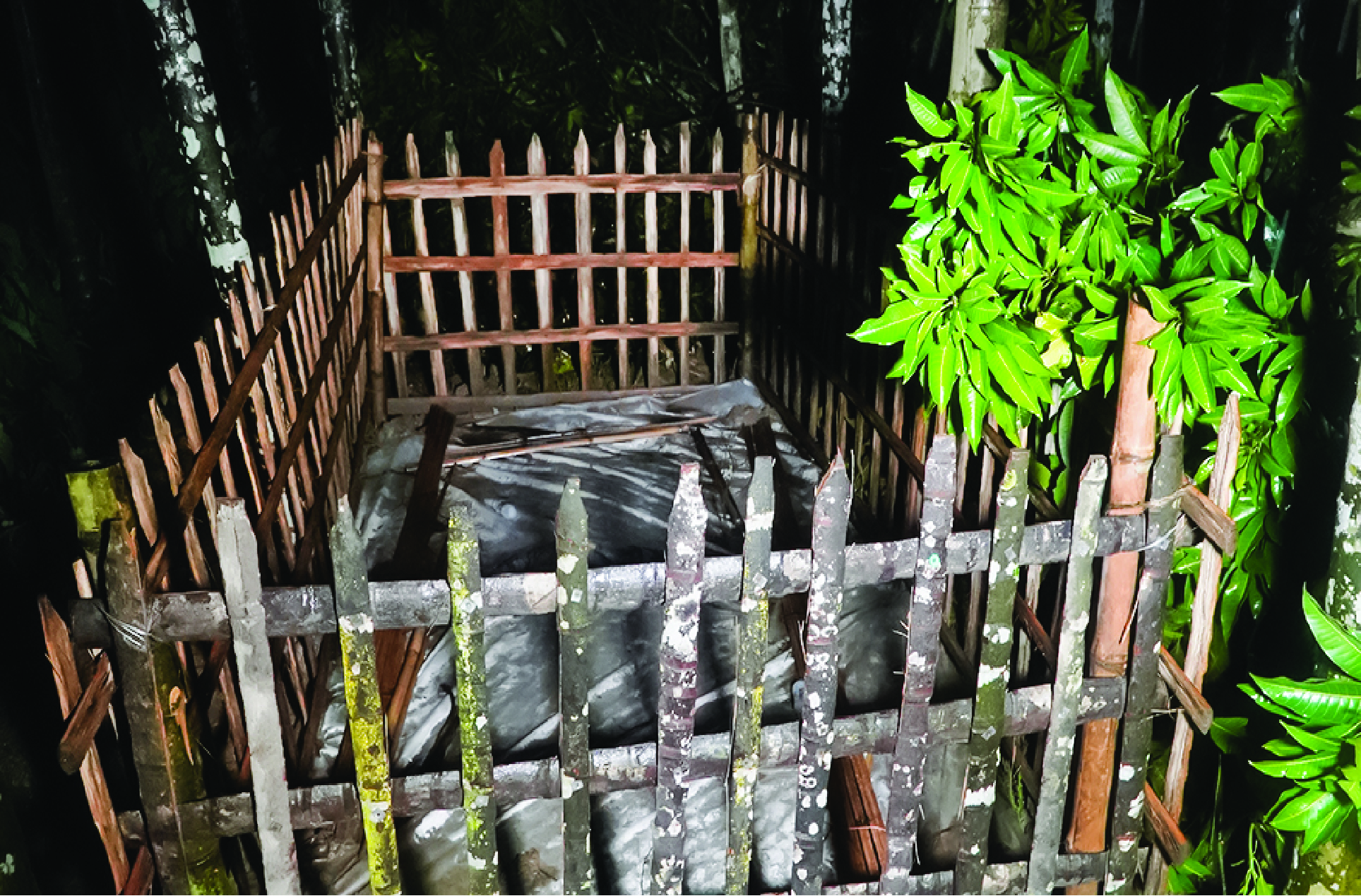 Image of মো: গোলাম রব্বানী